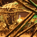 汶上夜景