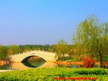 春來汶上蓮花湖