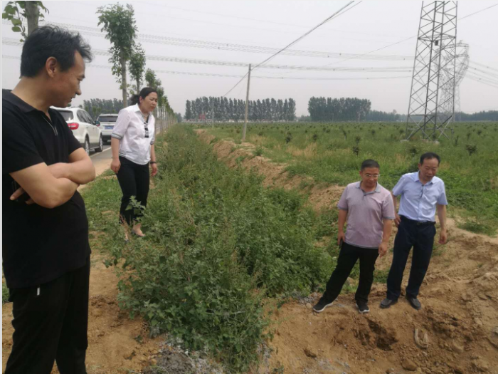汶上縣人民政府 部門動(dòng)態(tài) 縣交通運(yùn)輸局召開南郭公路掃尾工程建設(shè)工作推進(jìn)會(huì)