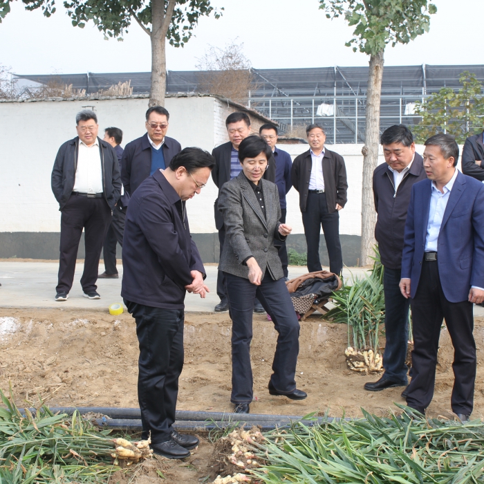 市委副書記閆劍波來汶上縣調研農(nóng)村土地流轉工作